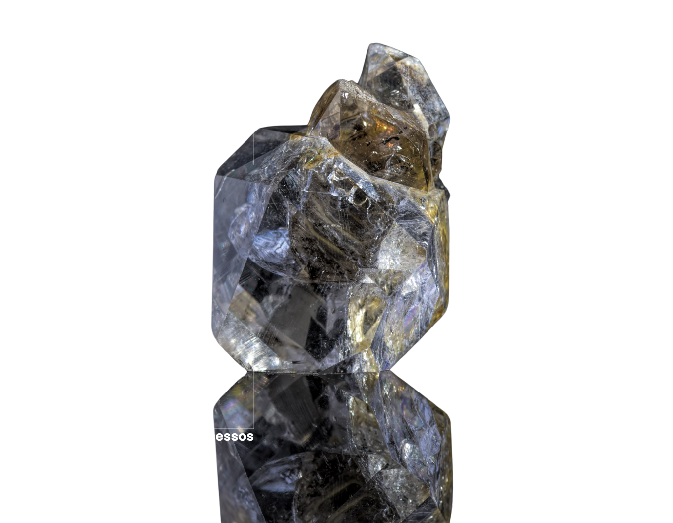 gest-o-lucrativa-ebem